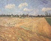 Vincent Van Gogh Ploughed Field (nn04) oil painting reproduction